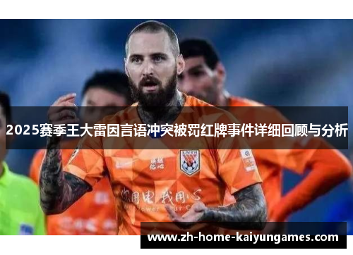 2025赛季王大雷因言语冲突被罚红牌事件详细回顾与分析