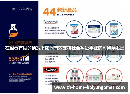 在经费有限的情况下如何有效支持社会福祉事业的可持续发展