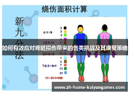 如何有效应对肾脏损伤带来的各类挑战及其康复策略