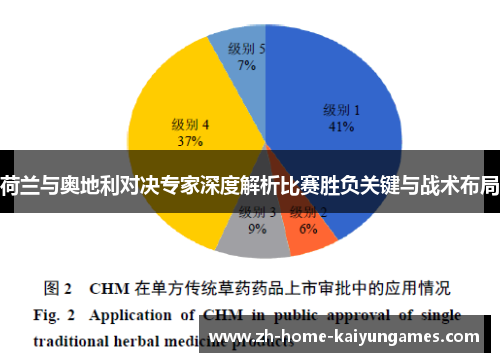 荷兰与奥地利对决专家深度解析比赛胜负关键与战术布局