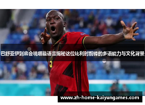 巴舒亚伊到底会说哪些语言揭秘这位比利时前锋的多语能力与文化背景