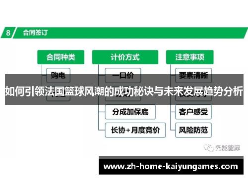 如何引领法国篮球风潮的成功秘诀与未来发展趋势分析